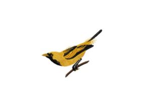 Golden Haired Flycatcher: A Designer's Take for Apparel