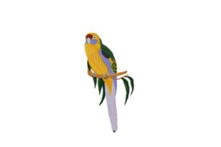 Green Rosella: A Designer's Review for Craft Fair Success