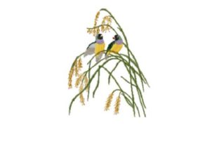 Painted Finch Embroidery Design Review