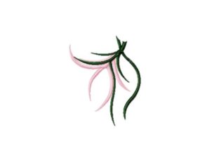 Pink Maiden Flower Review for Boutique Apparel